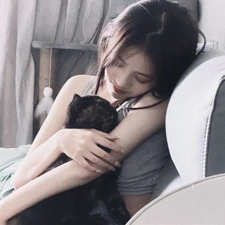 疯狂整蛊城免费在线观看封面