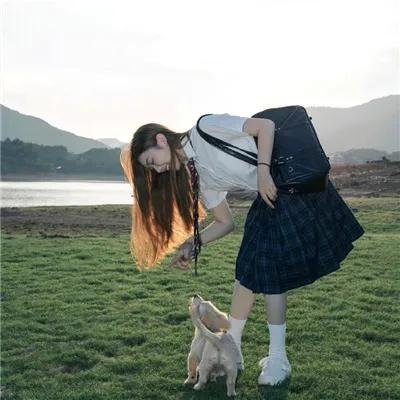 波尔卡的猪免费在线观看封面