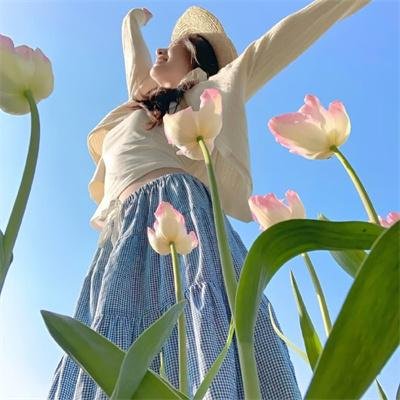 浪花淘尽免费在线观看封面